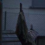 DSC_0129